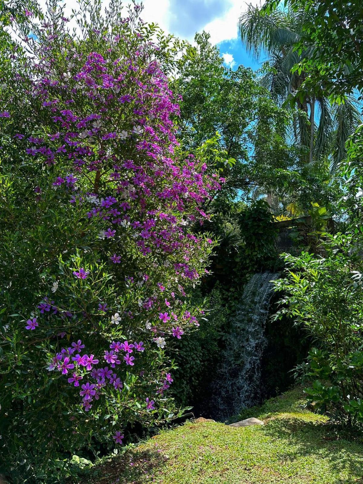 Pousada Refugio Dos Canyons Praia Grande  Exteriér fotografie